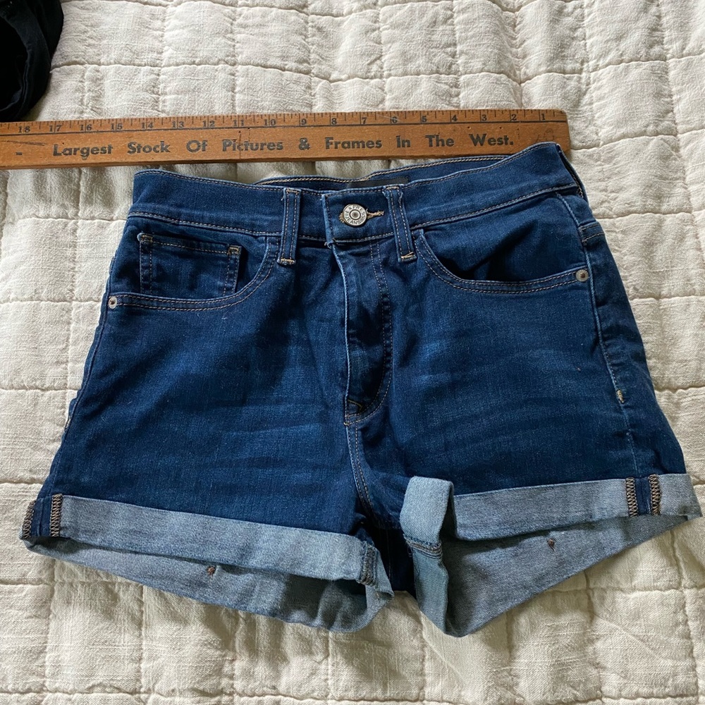 Dark Blue Express Shorts